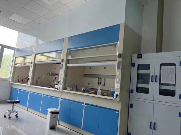 全钢制污视频免费